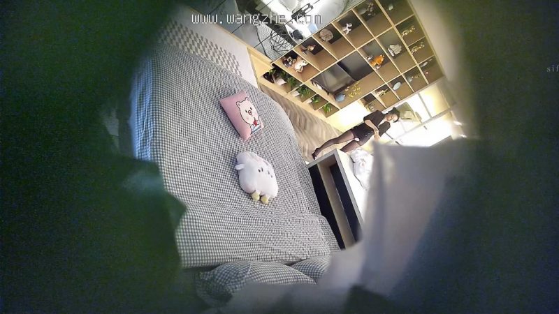 新片速递酒店偷拍❤️健壮猛男侧入西装蕾丝袜下的气质风骚女神少妇姐姐-老宋小屋