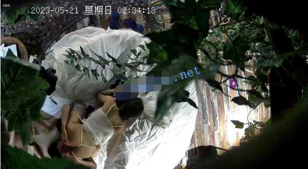 图片[2]-酒店偷拍520大放送4对各色情侣偷情/强插/丝袜-老宋小屋