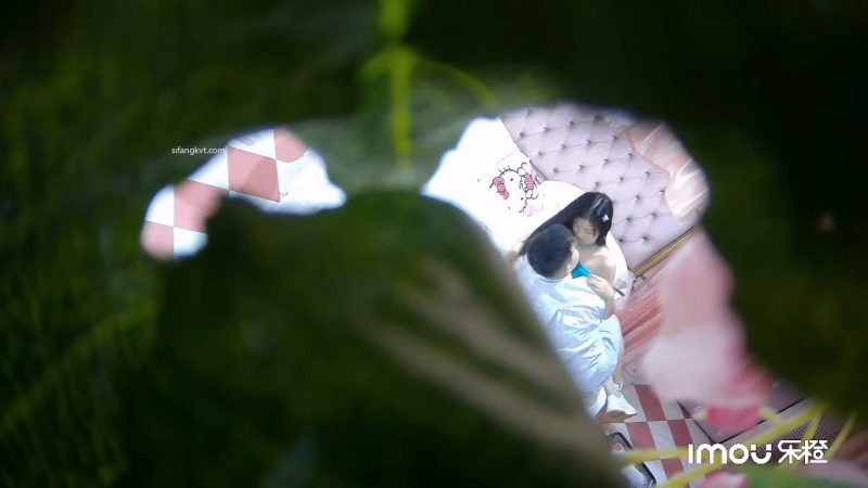 高校附近情趣酒店偷拍大学生情侣下课换上JK制服就迫不及待开房打炮-老宋小屋