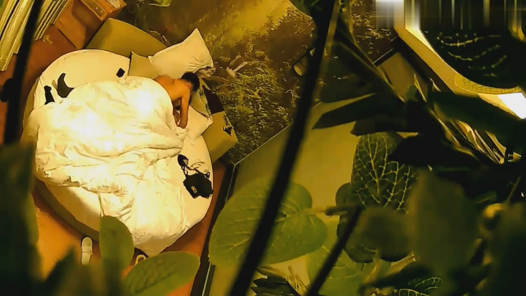 图片[2]-流出酒店绿叶房偷拍??小哥约炮单位眼镜御姐范美女鸡巴太大没几下把人家逼干出血了[MP4/713MB]-老宋小屋