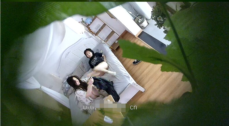 图片[5]-2024年8月酒店实录 女同回归极品女女互抠互舔假阳具使劲操-老宋小屋