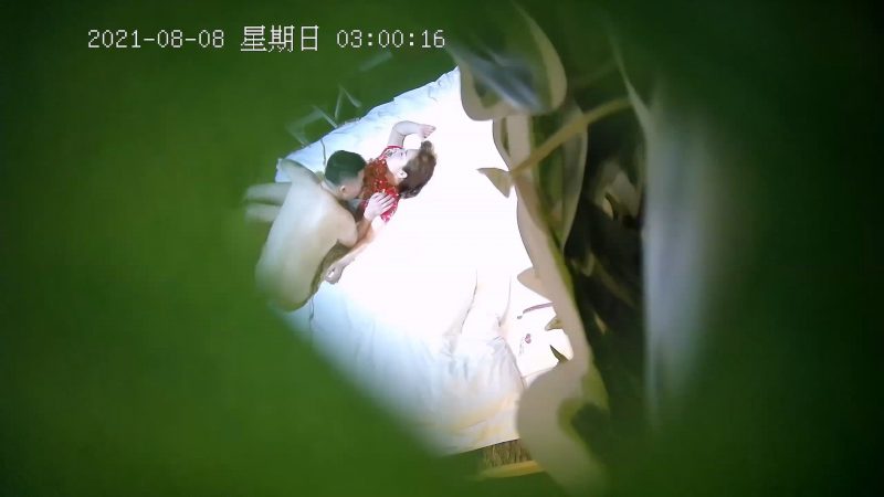 8-8酒店偷拍 少妇偷情 穿着东北风的花衣服被操的杀猪版嚎叫，被操爽了-老宋小屋