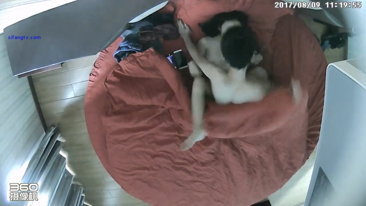 图片[7]-8-9经典酒店偷拍 清纯少女和男友开房做爱，听话的年纪遇到精神小伙-老宋小屋