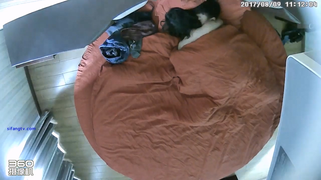 图片[6]-8-9经典酒店偷拍 清纯少女和男友开房做爱，听话的年纪遇到精神小伙-老宋小屋