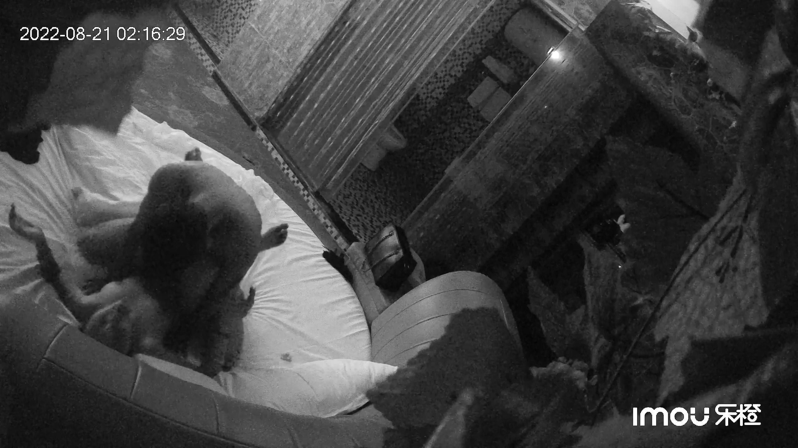 图片[1]-2022-8-20酒店偷拍 纹身夜店骚货和帅哥大战两天两夜-老宋小屋