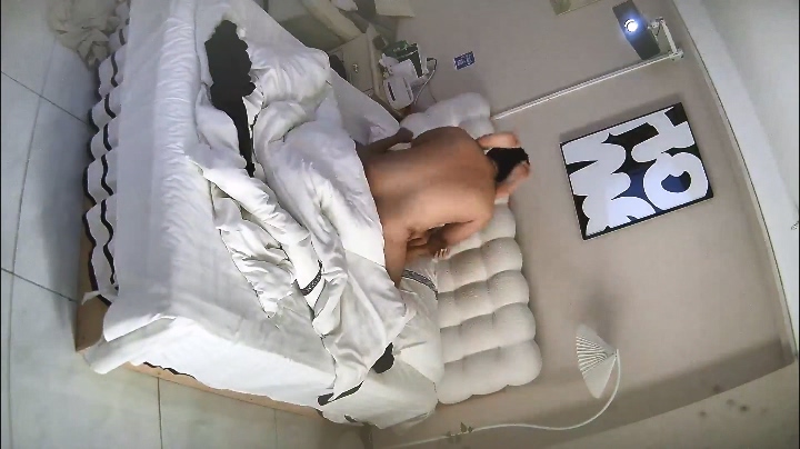 2025-11-23酒店偷拍 戴口罩的长衫女被胖哥扑倒后翻来覆去打桩操-老宋小屋