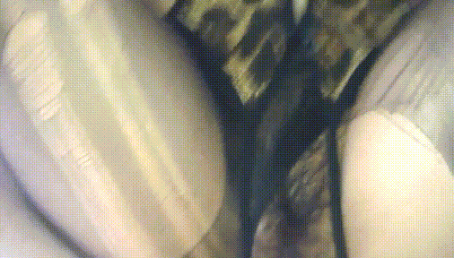 大神酒店约炮单位的熟女会计换上豹纹内衣 黑丝猛操她的大黑B-老宋小屋