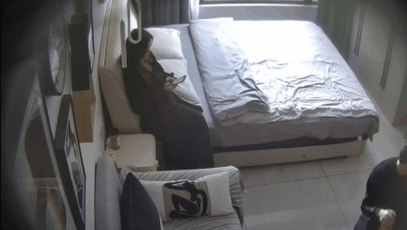 图片[2]-民宿酒店 11-16 人越是到中年 就开始作妖开始浪了 两大叔带个少妇居然玩起了情趣3P 红高跟黑渔网-老宋小屋