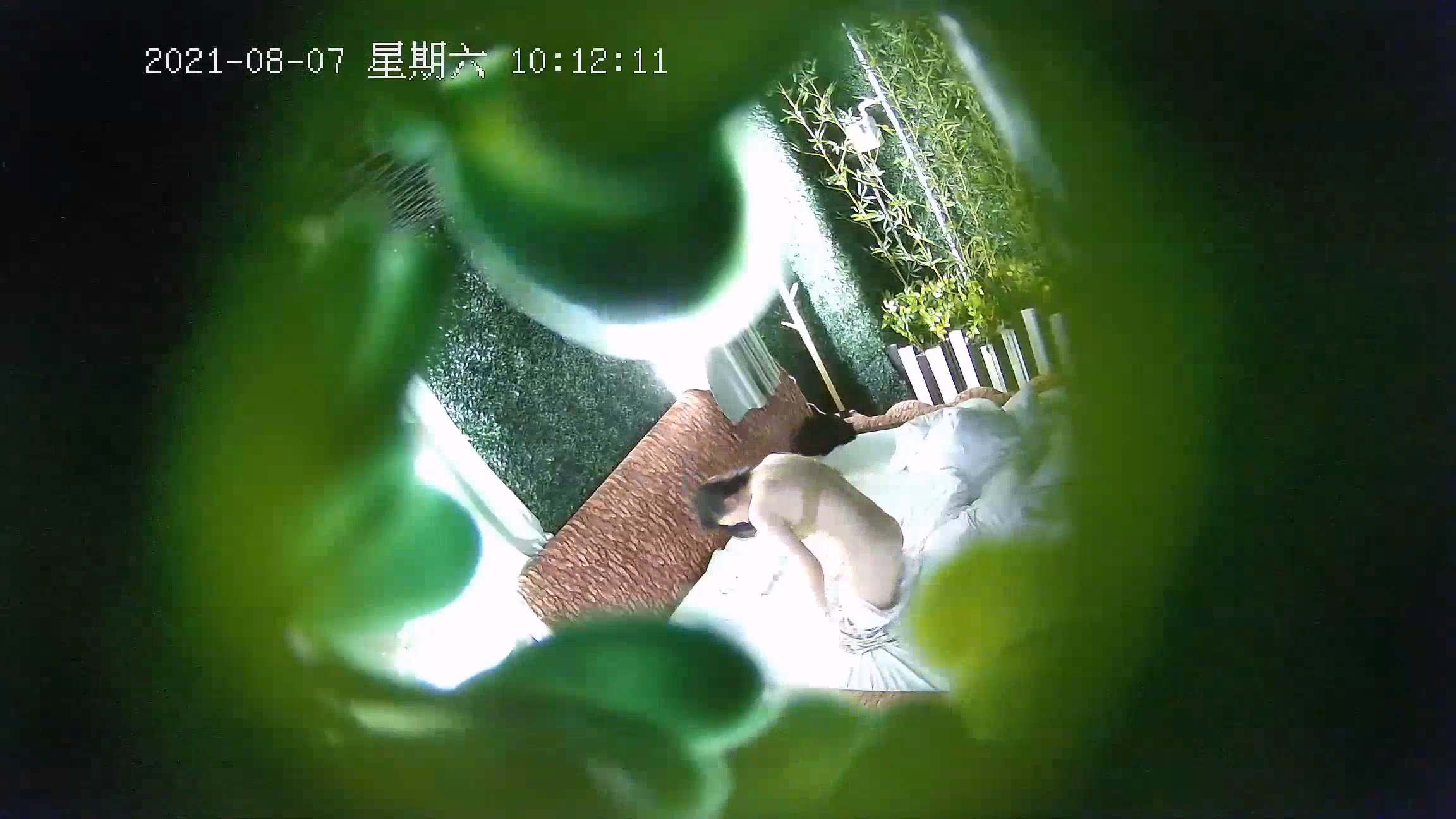 图片[1]-经典酒店偷拍 腼腆女友被操的呻吟不断，高潮迭起-老宋小屋