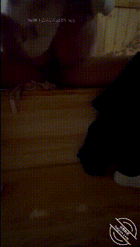 高清精品-海角社区乱伦大神会喷水亲姐姐日料餐厅里把老姐按在桌子上爆操连续狂喷，再到酒店颜射吞精-老宋小屋