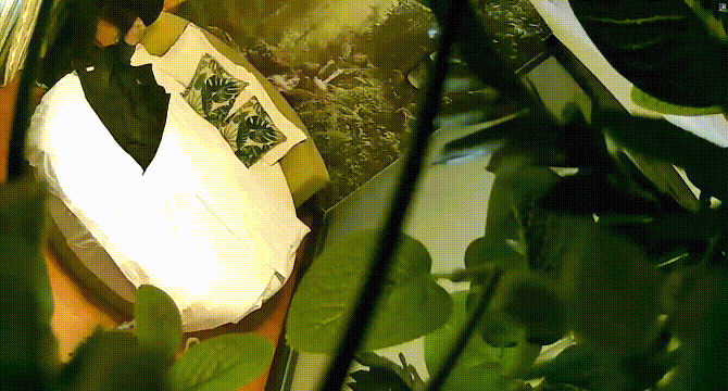 酒店针孔偷拍丰满性感的美女酒店不愿意和认识没多久的纹身男啪啪,被男的3次扑倒在床上最后强插进去干完后再操时乖乖配合!-老宋小屋