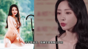 【AI明星换脸与AI合成声】❤️声音克隆❤️柳岩-娱乐圈大揭秘第19期！[686.46M/MP4/00:23:07/116]-老宋小屋