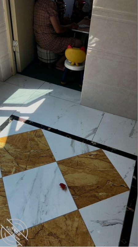 作者：姐姐的奶味 《60. 外面全是亲戚，我把姐姐按在厕所干屁眼，实在太紧致了》-老宋小屋