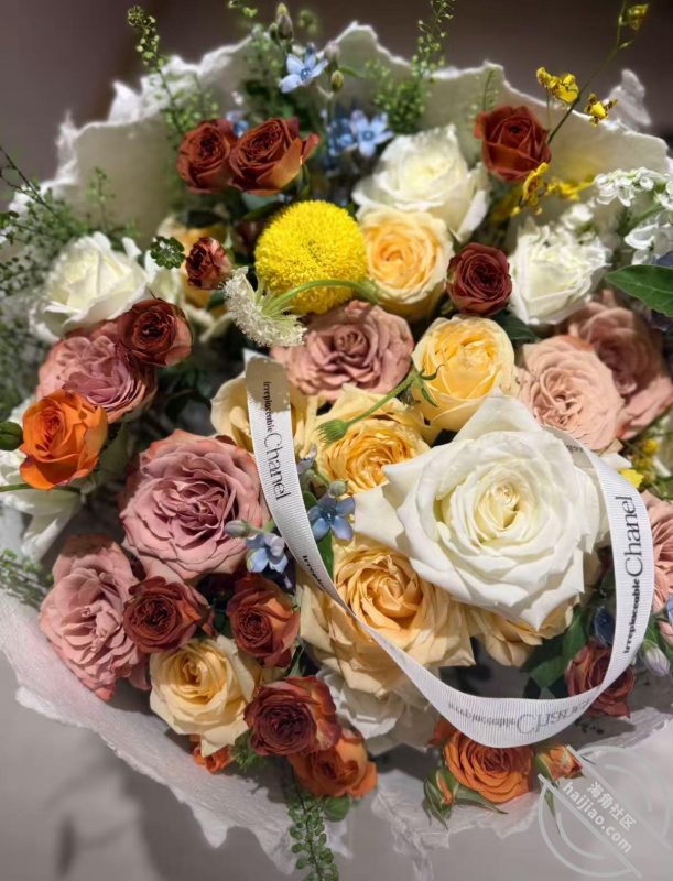 作者：纯爱藏黄刀 《（视频帖）表妹穿上女仆装，超级奈斯！-我和表妹谈恋爱5》-老宋小屋