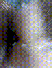 作者：海角_175238204901 《原创17- 女儿给我口硬顺势后入她，借着水流干的啪啪响，从卫生间干到卧室》-老宋小屋