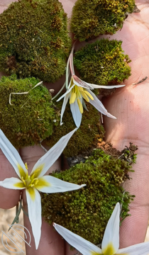 作者：爱玩求虐的婶婶 《【真实原创】149、户外丝袜诱惑和深喉鸡巴，喜欢户外的婶婶火力全开》-老宋小屋