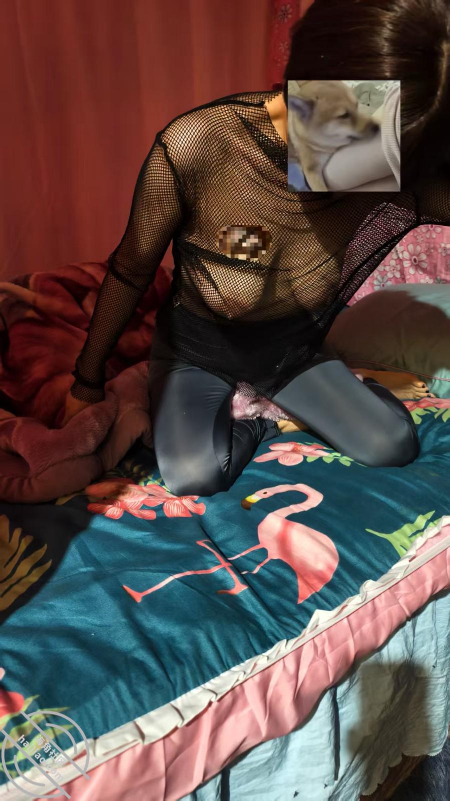 图片[1]-作者：妖媚好姐姐 《[原创视频15]趁弟媳不在，穿好免脱瑜伽裤给弟弟干到无法控制淫叫不断》-老宋小屋