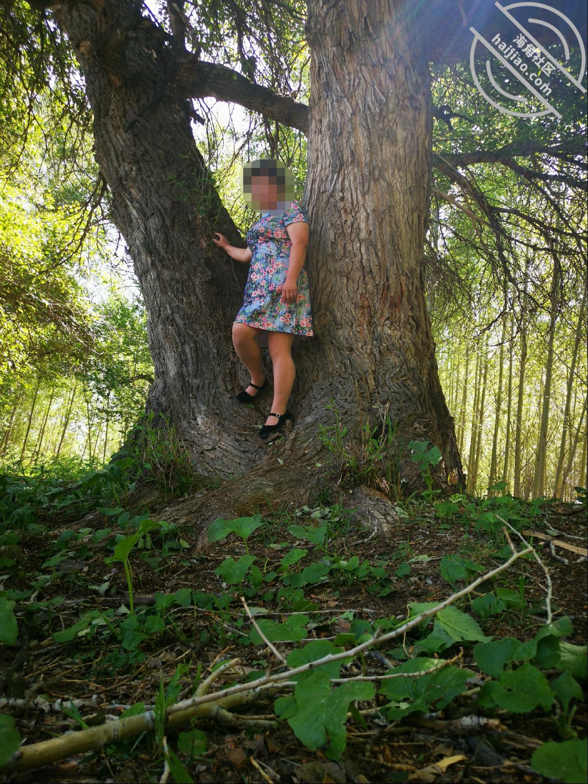 图片[1]-作者：必进妈妈的穴 《原创9！和妈妈去森林野炮，一镜到底》-老宋小屋