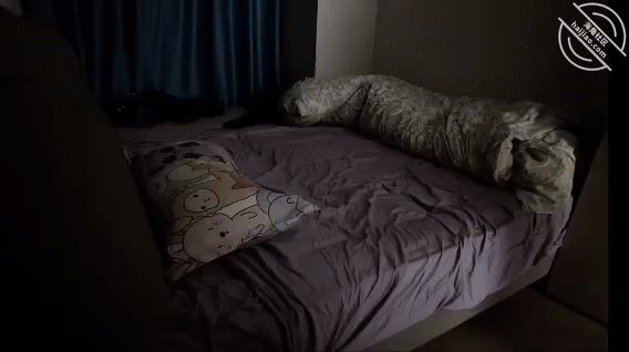 作者：勾人俏妈妈 《32妈妈刚回来被我强行拉回房间69，把妈妈操到拍打床单，嘴里一直说着不要》-老宋小屋