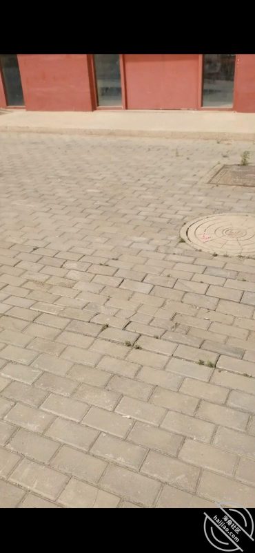 作者：宝马女科员 《原创13，宝马女科员中午值班被拉倒荒郊野外（下）》-老宋小屋