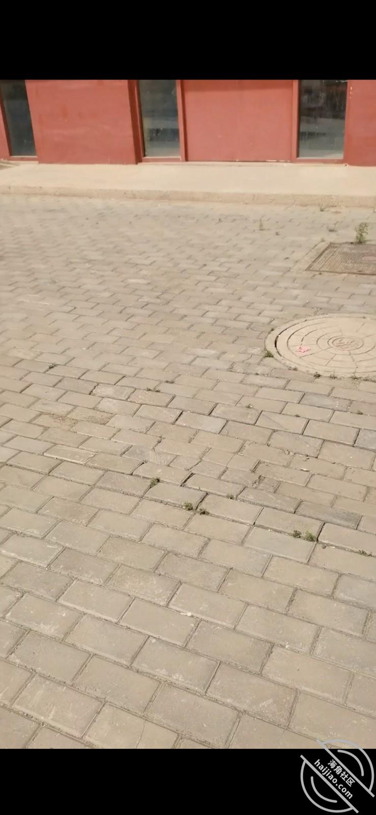 图片[1]-作者：宝马女科员 《原创13，宝马女科员中午值班被拉倒荒郊野外（下）》-老宋小屋