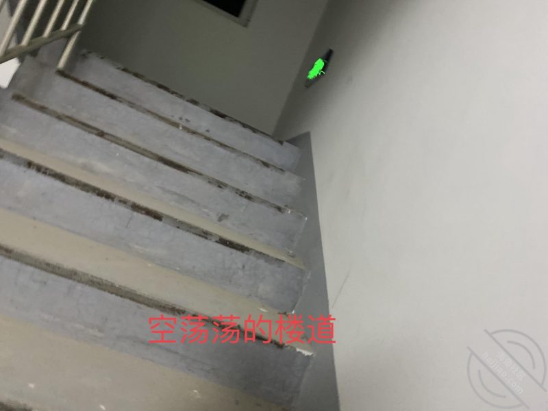 作者：调教别人女朋友给我当母狗 《小奶狗的合租日记（21）我和木子从楼梯间艹到卧室，太刺激了！》-老宋小屋