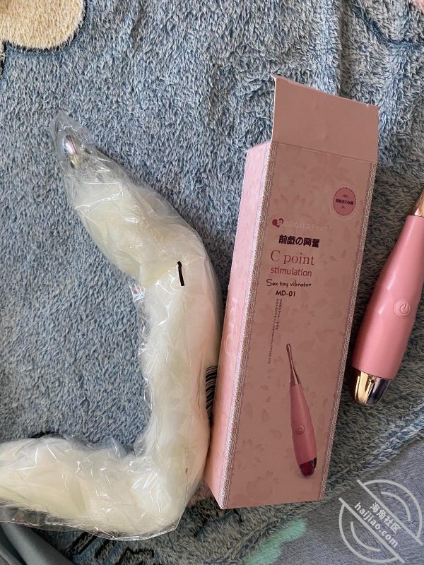 作者：调教别人女朋友给我当母狗 《小奶狗的合租日记（24）和小木子在客厅玩情趣用品，让她当我的小乖乖！》-老宋小屋