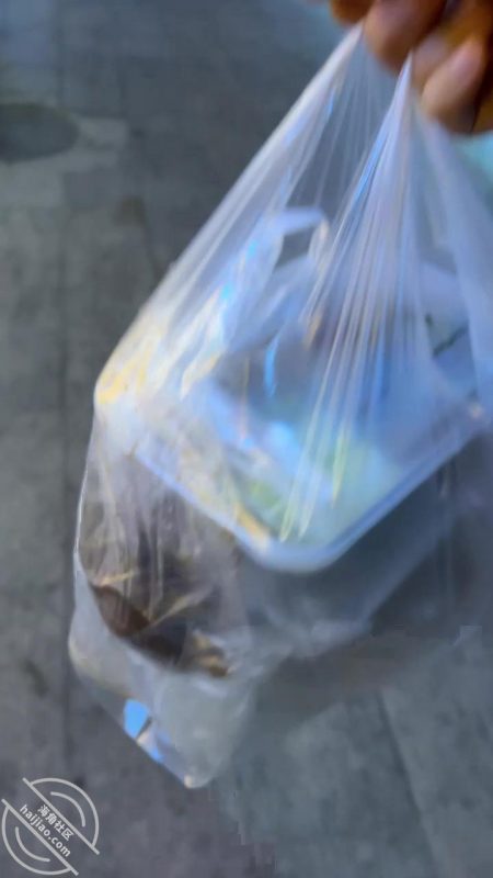 作者：我的巨乳亲表姐 《亲小姑11：全程记录灌醉我小姑，成功拿下！把她内裤塞她嘴里猛操！爽！》-老宋小屋