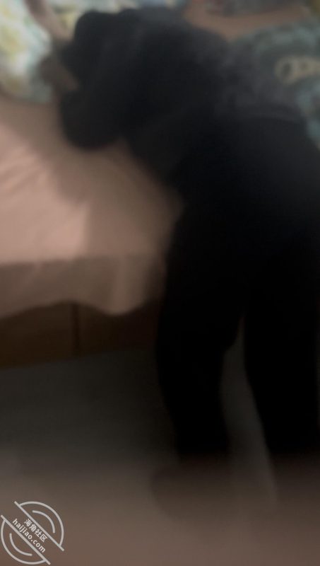 作者:小宝爱妈妈 《原创(91)今天老妈跟出去喝酒,喝多了被我搞了!骚死》-老宋小屋