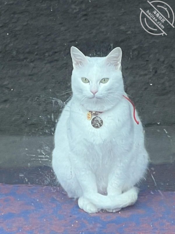 作者：内心中的黑暗之神 《我和亲姐姐7 和亲姐和解 在爷爷奶奶的眼皮子底下操逼》-老宋小屋