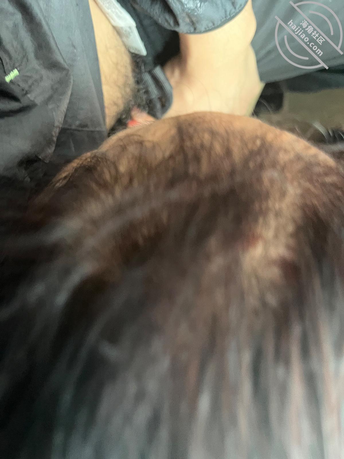 图片[10]-作者：性成瘾爱有价 《我终于上了懂我爱我的大姐18 真实无套狂操大姐高潮两次》-老宋小屋