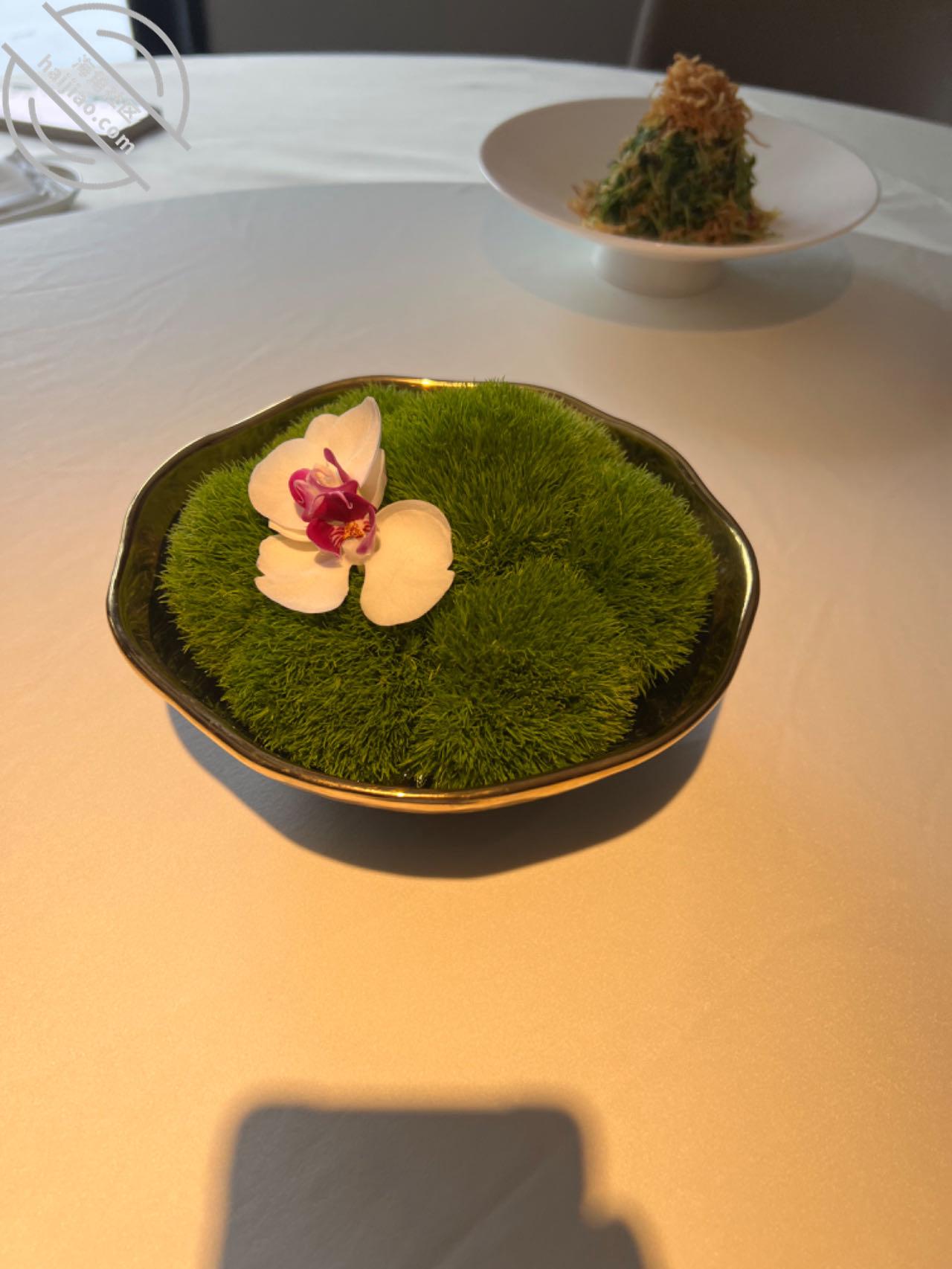 图片[11]-作者：内心中的黑暗之神 《和姐姐的北京之旅-我和亲姐姐23-（视频贴）》-老宋小屋