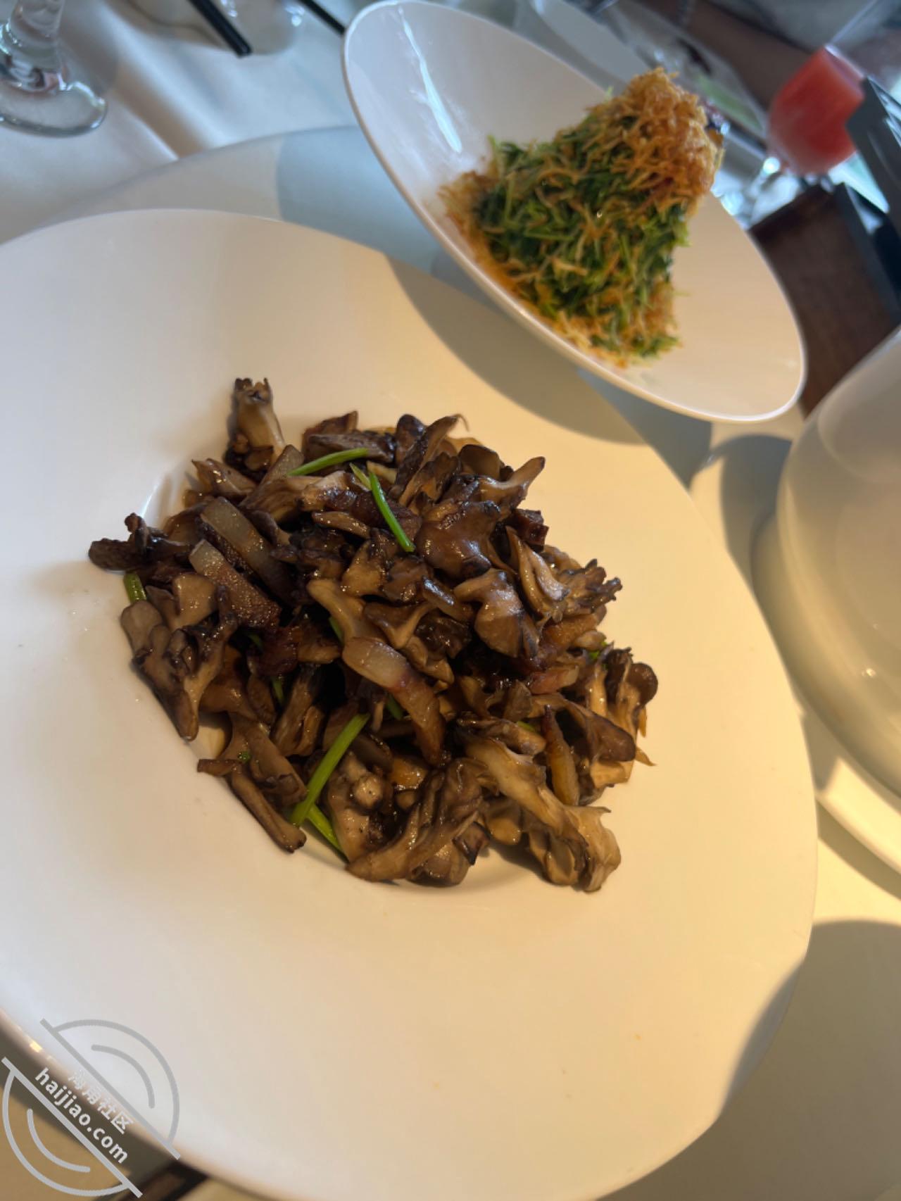 图片[15]-作者：内心中的黑暗之神 《和姐姐的北京之旅-我和亲姐姐23-（视频贴）》-老宋小屋