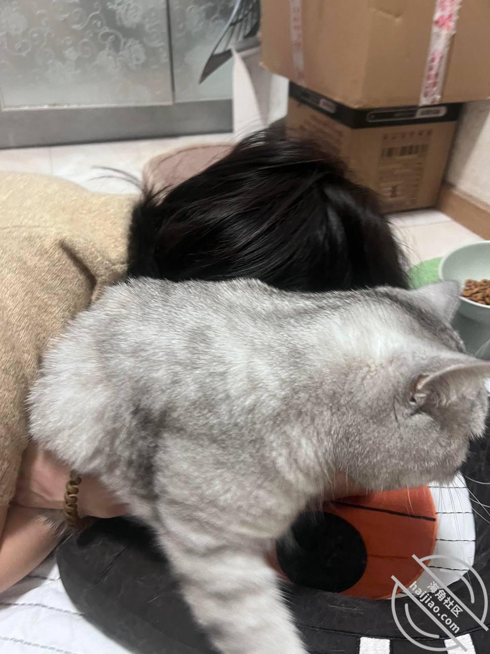 图片[16]-作者：39岁妈妈和30岁堂姐 《（原创40视频贴）终于在堂姐醉酒状态，进入了堂姐的阴道，但是过程堂姐醒了》-老宋小屋