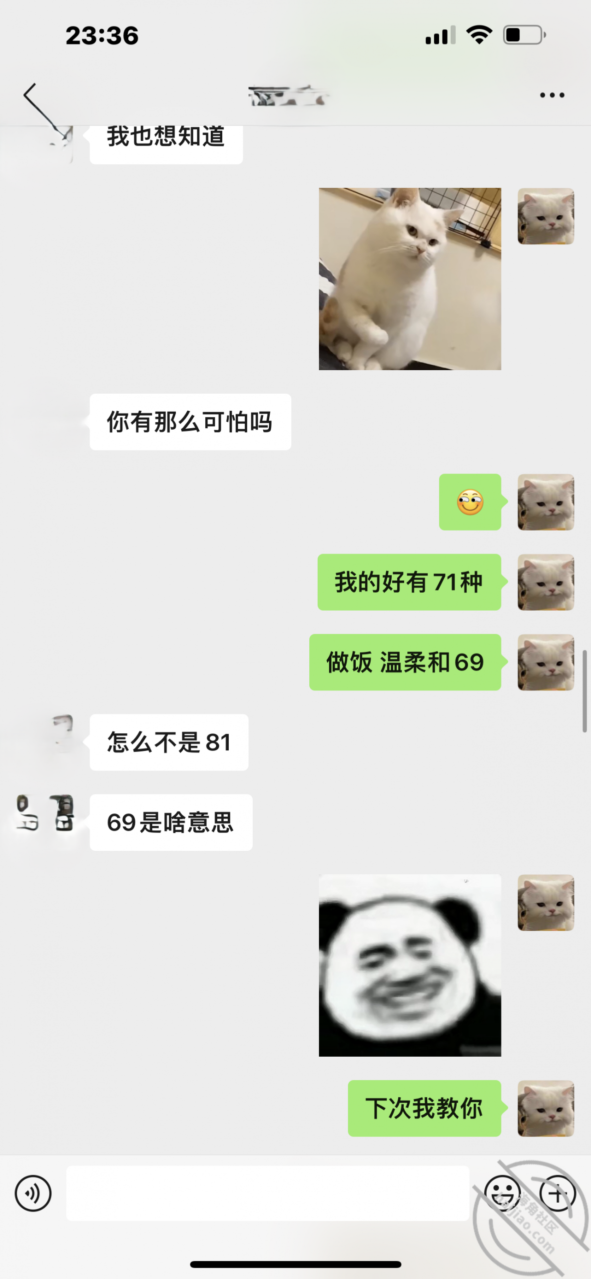 图片[17]-作者：奶子即正义 《原创:正义新作,给长腿美胸的姐姐带上狗项圈,调教,m初体验,无套,超级顶》-老宋小屋