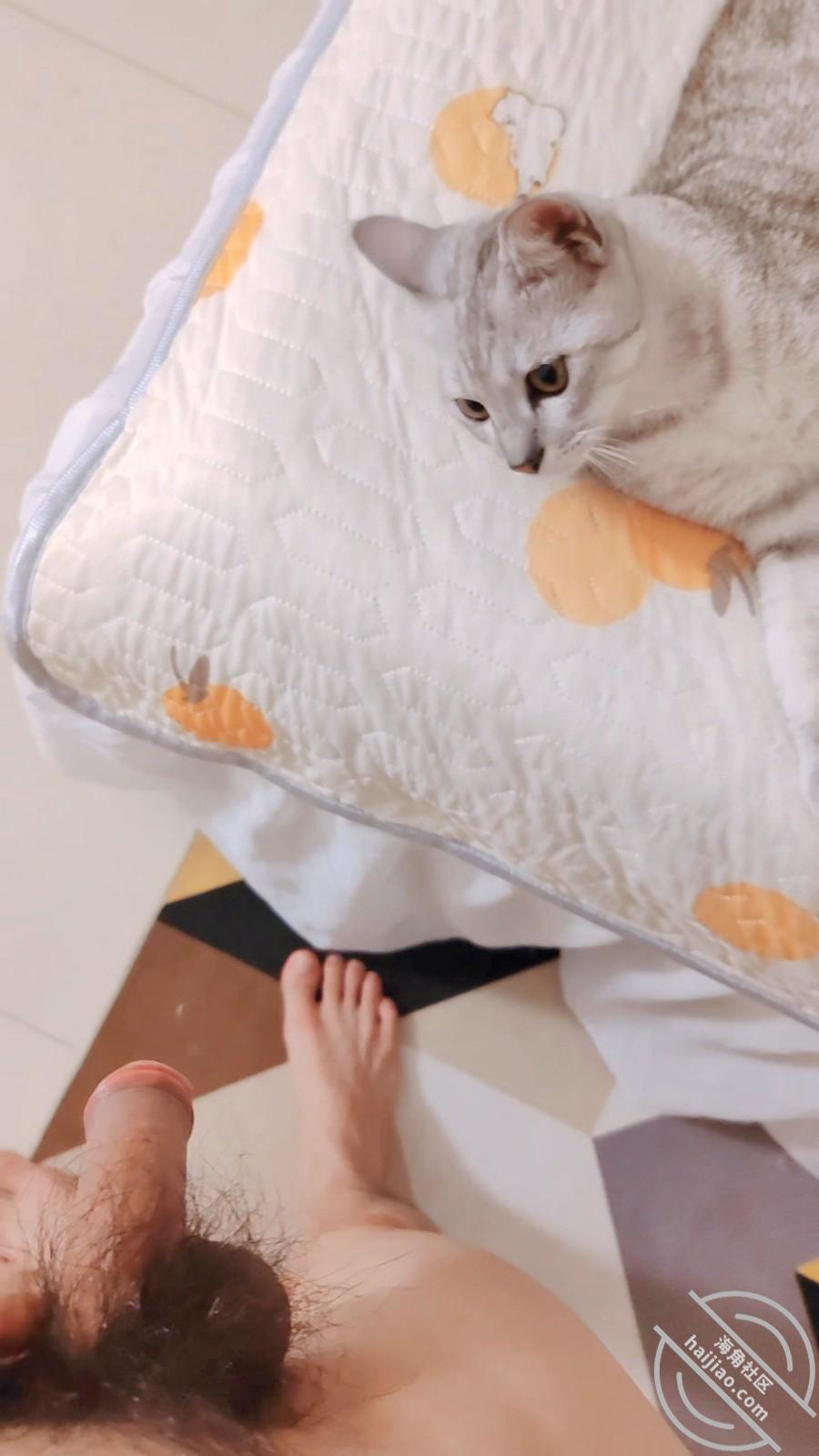 图片[18]-作者：妈妈的味道（干妈变成了情人） 《(原创视频)102：在干妈老公床上操他老婆，引来小猫观战》-老宋小屋