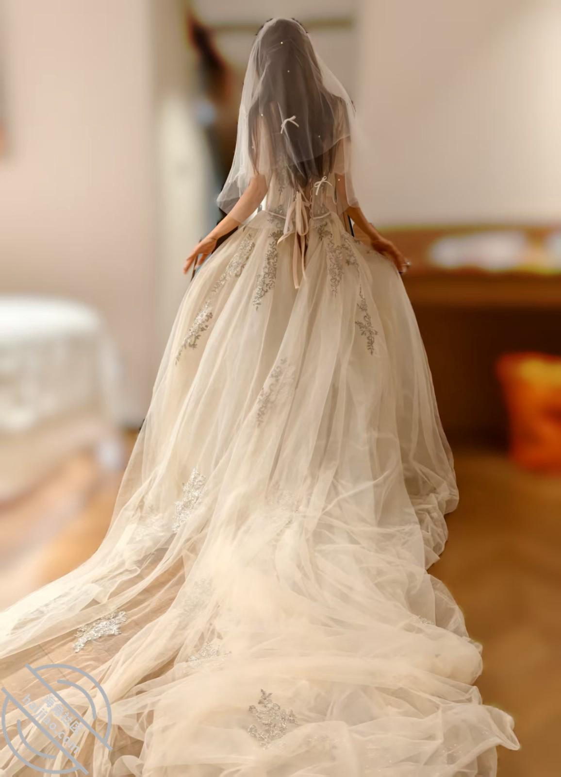 图片[2]-作者：亲姐的诱惑 《[原创视频]84.姐姐穿上婚纱口爆吞精媚态撩人，做完之后还叫待会继续做》-老宋小屋