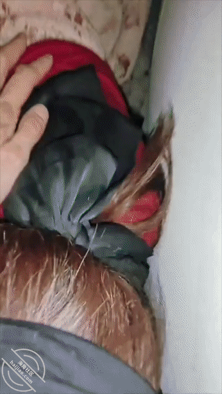 图片[2]-作者：亲姐的诱惑 《【原创视频】116在小外甥面前操姐姐，被他发现后他说不看我们，他要看手机》-老宋小屋