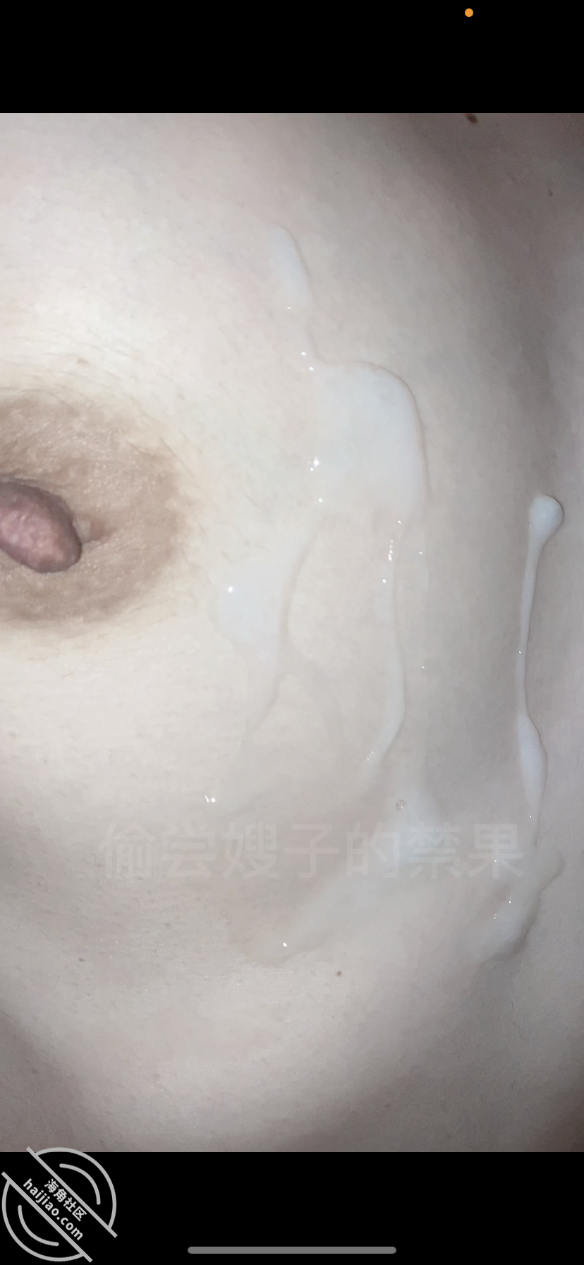 图片[2]-作者：偷尝嫂子的禁果 《美艳嫂子23 发现嫂子出轨后 拍下找嫂子做爱时候的对话【真实原创】》-老宋小屋