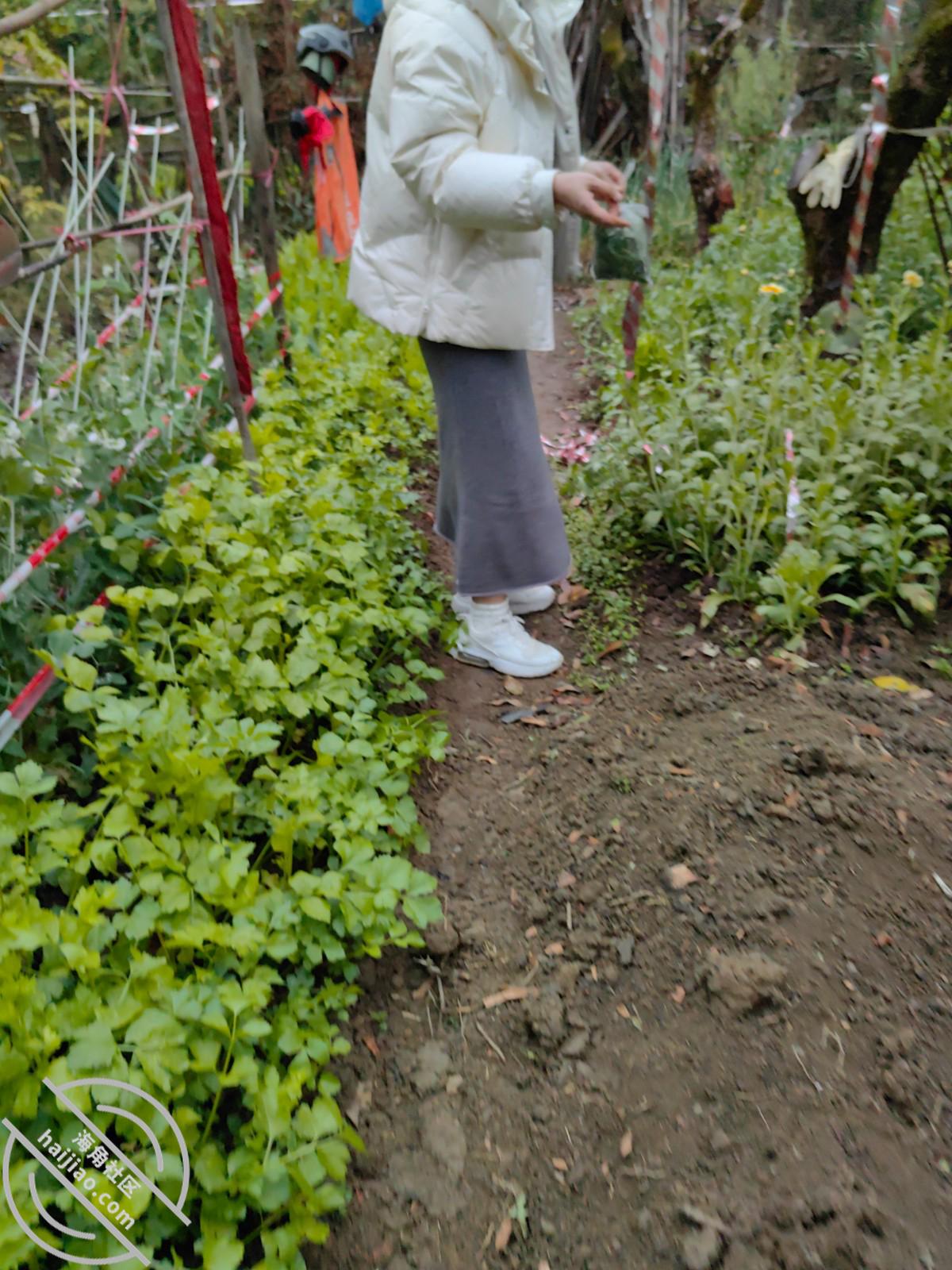 图片[2]-作者：乱伦淫声骚语 《146【海角原创】库存- 我狠狠打嫂子的屁股，对白很多，最后口爆吞精！》-老宋小屋