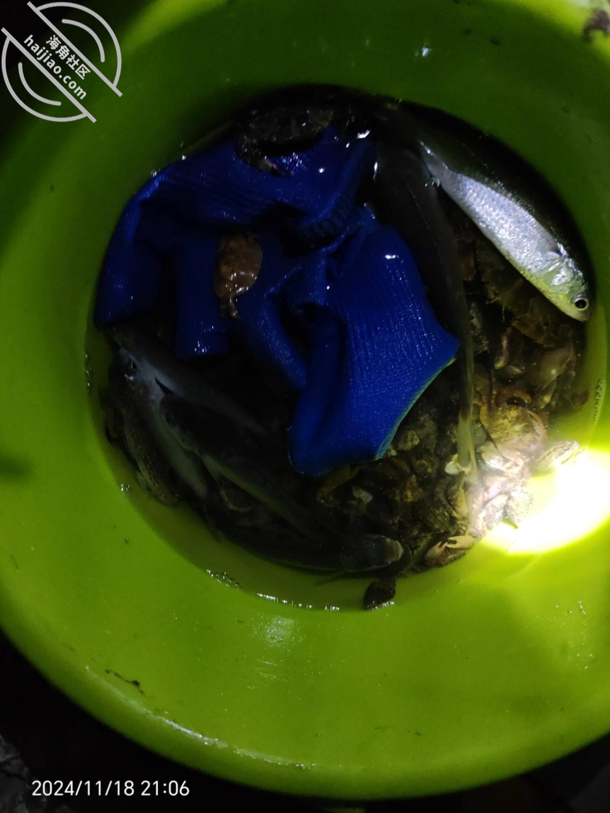 图片[21]-作者：妈妈的味道（干妈变成了情人） 《(原创视频)120：干妈边打电话☎️边被我操，迷恋上了这种感觉》-老宋小屋