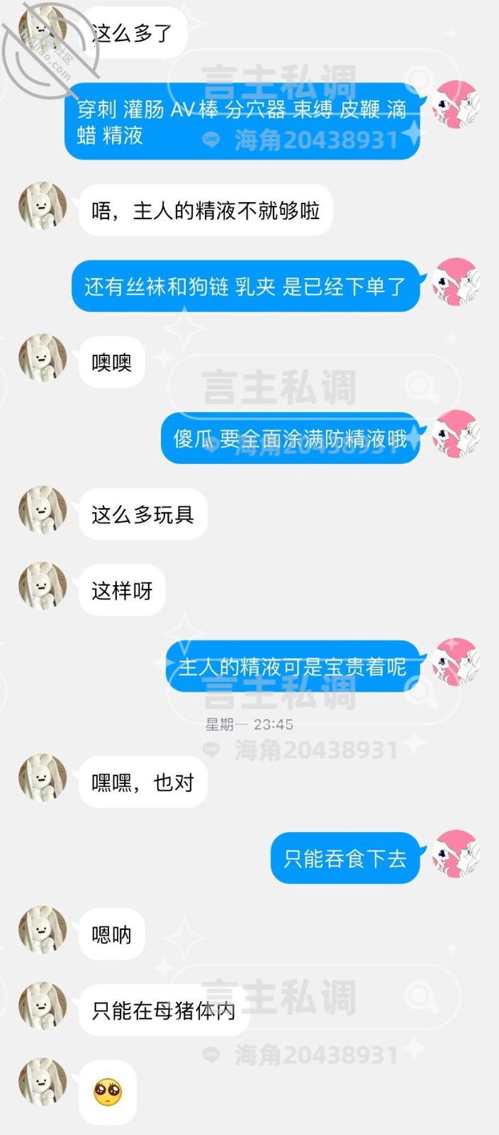 图片[23]-作者：言主私调记录 《琪琪千里送逼倒数第4天 搅拌棒肛交8.22》-老宋小屋