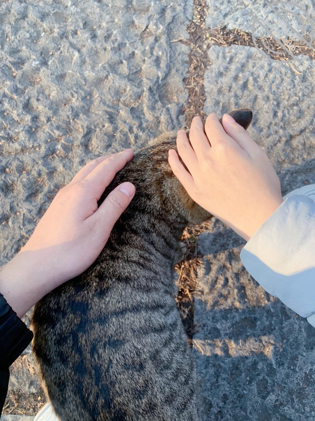 图片[26]-作者：内心中的黑暗之神 《我和亲妹妹的性福生活22 车震内射 差点被路人发现！！》-老宋小屋