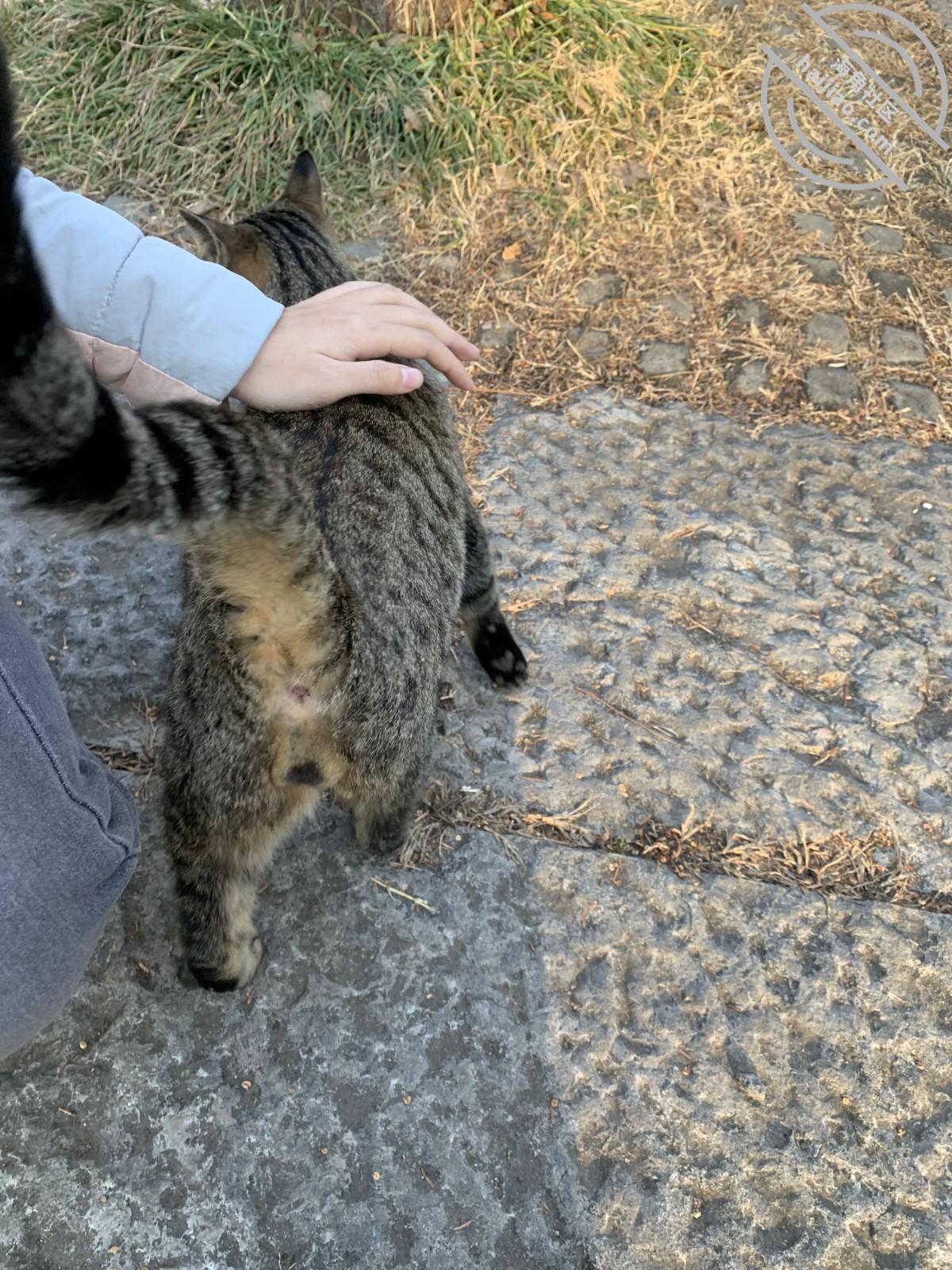 图片[27]-作者：内心中的黑暗之神 《我和亲妹妹的性福生活22 车震内射 差点被路人发现！！》-老宋小屋