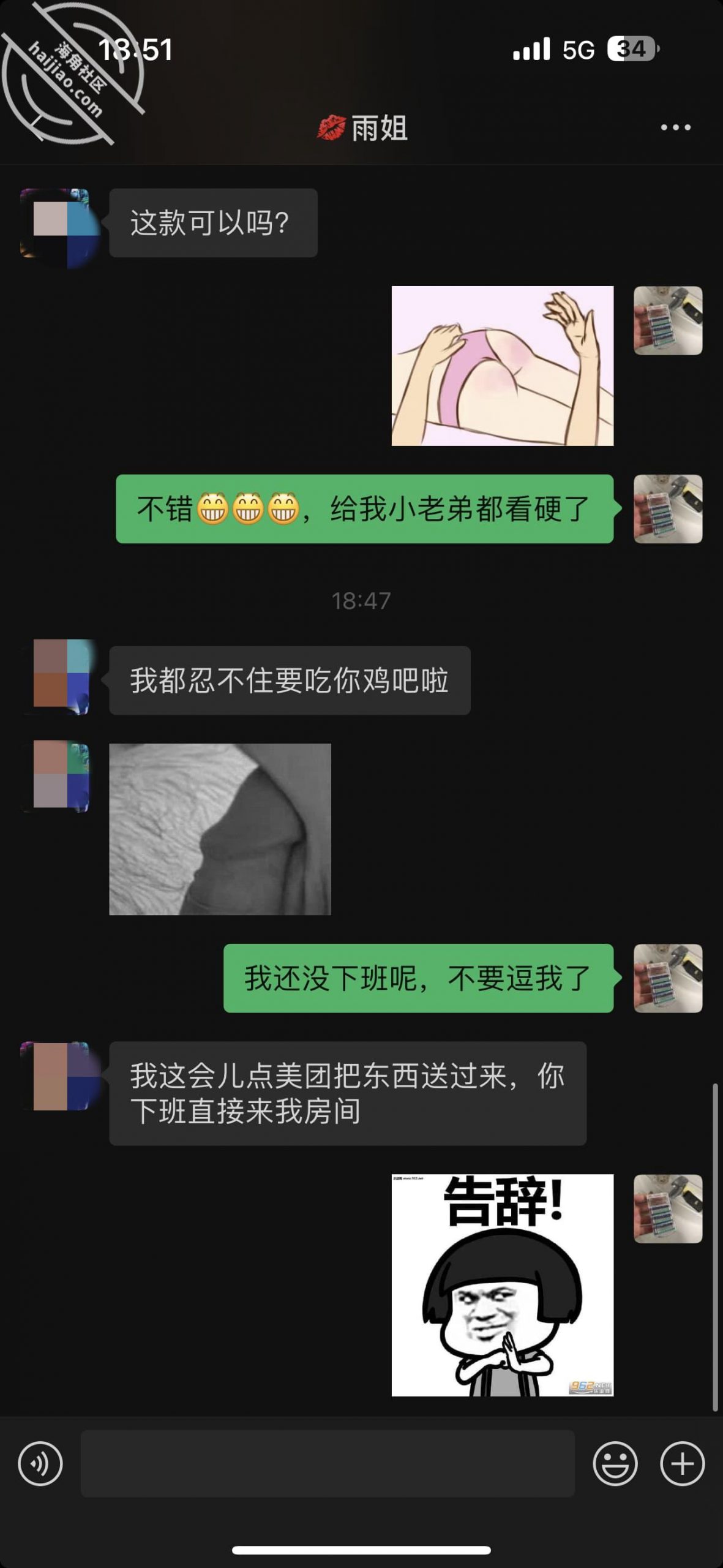 图片[3]-作者：姐姐的奶味 《238、巨乳孕期老姐挤出奶！！发消息诱惑我，让我挑一套情趣战袍》-老宋小屋
