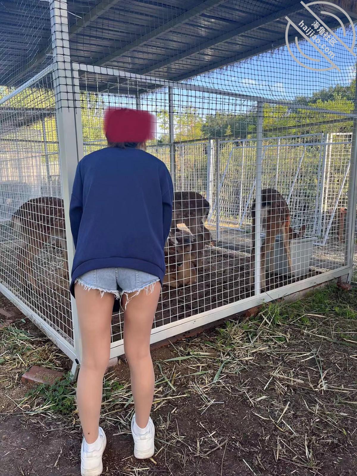 图片[3]-作者：和妹妹同居的生活 《（原创）大学妹妹同居系列22户外野战》-老宋小屋