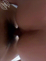 图片[3]-作者：海角_175238204901 《原创17- 女儿给我口硬顺势后入她，借着水流干的啪啪响，从卫生间干到卧室》-老宋小屋