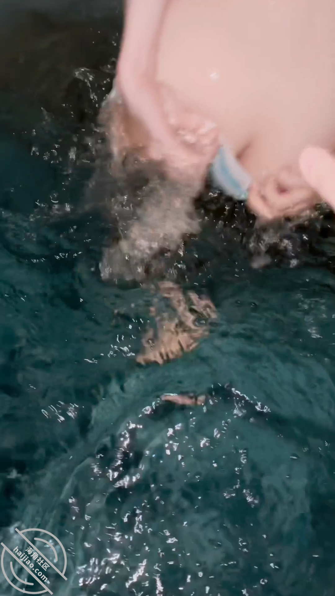 图片[3]-作者：意淫自己妹妹 《【原创视频38】泳池边与妹妹尽情释放天性，第一次内射，太爽了》-老宋小屋