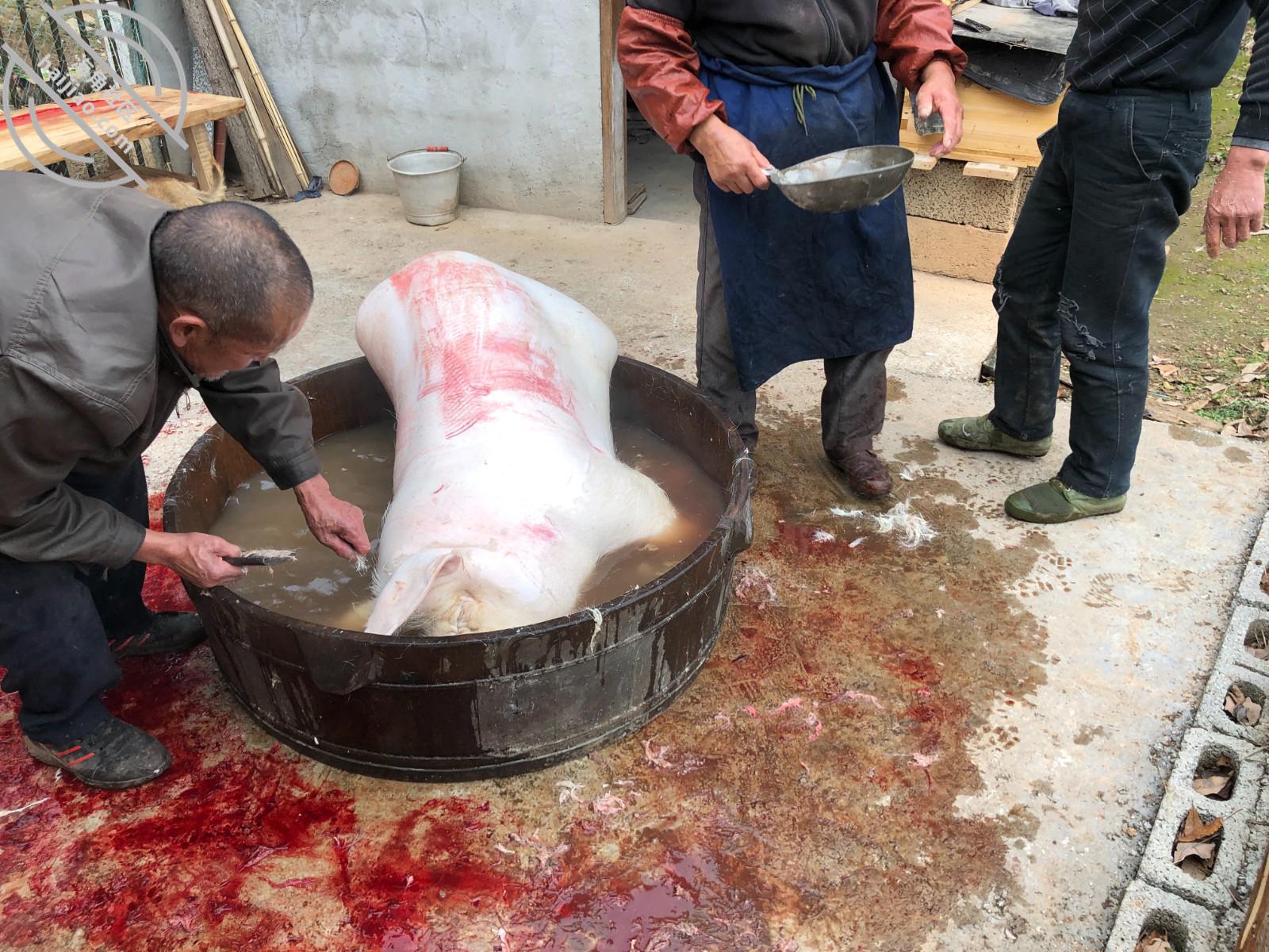 图片[3]-作者：D罩杯的一线天女儿 《7)趁着女儿睡觉，潜入房问强奸她!心里突然放大了我的欲望》-老宋小屋