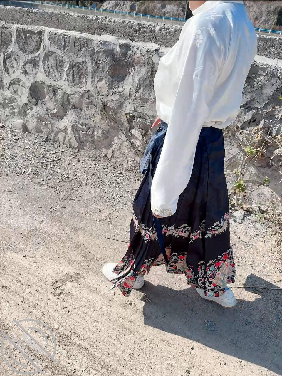 图片[3]-作者：拿走妹妹的处女 《上视频了兄弟们，原来你们这么喜欢妹妹的马面裙啊！》-老宋小屋